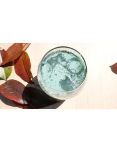 Spiruline - Poudre - 250g - Premium 2