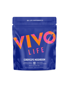 Sachet Vivolife Cordyceps sinensis – poudre concentrée 10:1 vegan