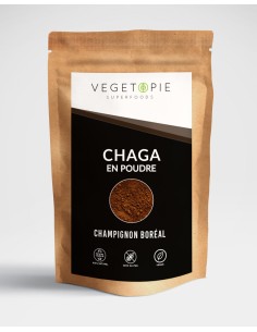 Chaga en Poudre bio champignon - 100g