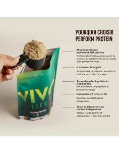 perform brownie chocolat vivolife proteine vegan 2