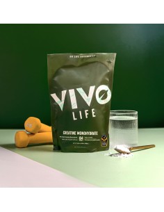 créatine monohydrate micronisée vivolife 252g 2