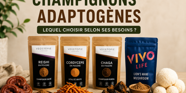 Champignons adaptogènes : lequel choisir selon ses besoins ? Guide complet 2026
